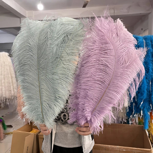 <span class=keywords><strong>Plumas</strong></span> <span class=keywords><strong>de</strong></span> avestruz grandes largas naturales <span class=keywords><strong>de</strong></span> 60-65cm al por mayor para boda, fiesta, comedor, mesa, centro, jarrón, decoración, lámpara <span class=keywords><strong>de</strong></span> casa, pluma - Product Image 1