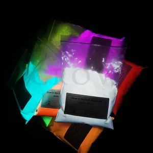 Neon Luminous Glow In the Dark Photochromic Nail Mica Cosmetic Powder Luminescent Paint Pigment