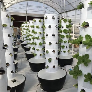 Landbouwkassen Verticale Landbouw Aeroponics Systeem Hydrocultuur Kweek Toren Tuin Verticaal Hydrocultuur Systeem