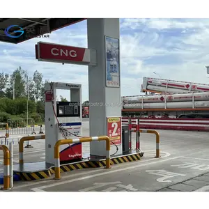 single double nozzle CNG dispenser used in gas station