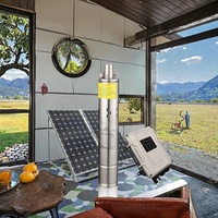Vente chaude Max 80m Tête Solaire Vis Pompe À Eau Dc 24v Étang Pompes Solaires pour l'Agriculture Personnalisable OEM Machine De Pompage D'eau