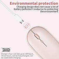 Mini souris USB rechargeable 2.4g silencieuse et mignonne sans fil OEM