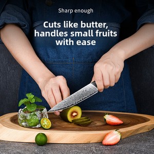Cuchillo de Frutas Verde Damasco <span class=keywords><strong>Global</strong></span> Export, Afilado, Multiusos, de Calidad Comercial, Estilo Occidental, en Stock - Product Image 4