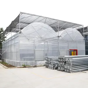 Túnel verde de alta casa, estrutura multispan de plástico, casa verde, hidroponia, fazenda comercial, túnel de greenhouse