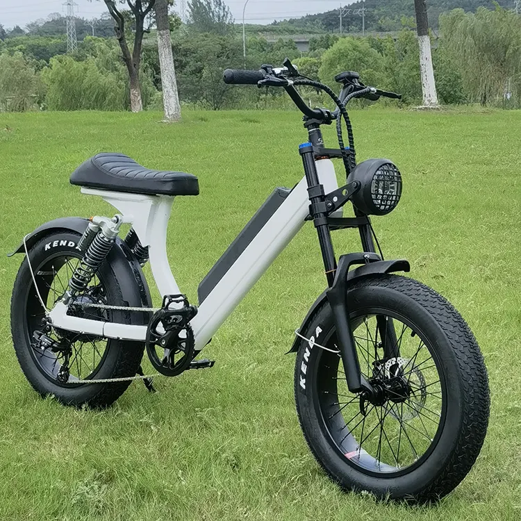 도매 20 인치 지방 타이어 Ebike 500W 15Ah 전체 서스펜션 전기 산악 해변 자전거 빠른 전기 자전거