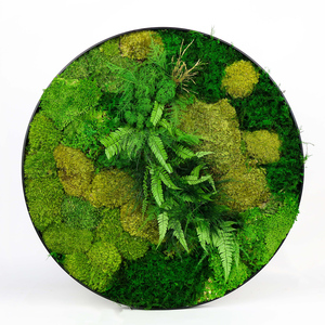 Cadre mural décoratif en mousse de renne naturelle véritable préservée, forme ronde, taille personnalisée <span class=keywords><strong>60</strong></span> cm, pour la décoration de la <span class=keywords><strong>maison</strong></span> - Product Image 4