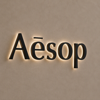 Enseigne personnalisée en acier inoxydable et acrylique avec logo rétroéclairé LED 3D, à fixer au mur pour les magasins de détail en extérieur