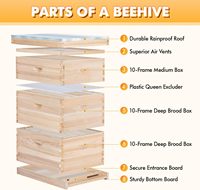 Nouvelle ruche à abeilles Witbee, 10 cadres, revêtement cireux, système de jointure en queue d'aronde Langstroth, en sapin de Chine beige, 1 à 4 couches, 20 mm