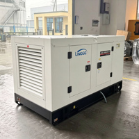 Groupe électrogène diesel silencieux LINGGE 20 kVA triphasé pour alimentation de secours résidentielle et commerciale