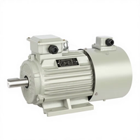 Moteur à vitesse réglable YVF 1,5 kW, petit moteur à fréquence variable pour machine textile, garantie 1 an, compatible avec les onduleurs, IP55