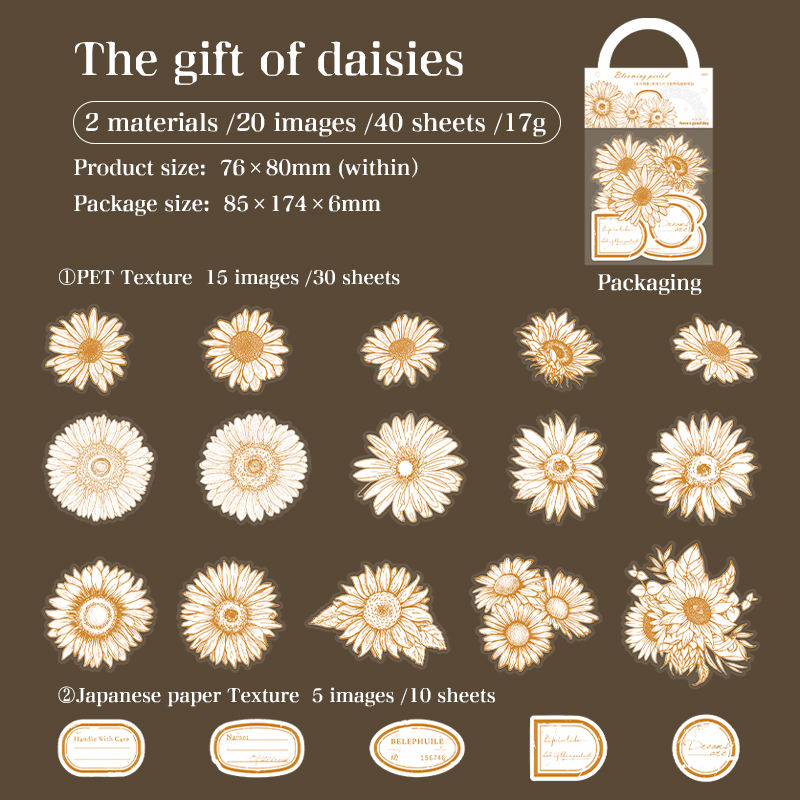A Gift of Daisies