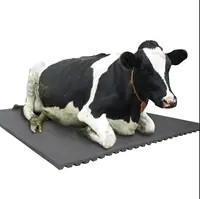 Buy Wholesale China Rubber Stable Mat Manufacturer Water Proof Hammer  Groove Mat Pig Stall Anti-slip Mat For Animals & Cow Stable Rubber Mat at  USD 0.5