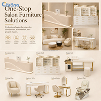 Ensemble de fauteuils de salon modernes de luxe avec dossier inclinable électrique, spa pour les pieds professionnel, massage, manucure et pédicure