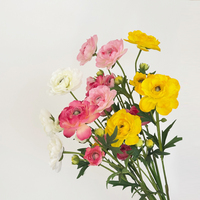 Bunga Ranunculus Sutra Realistis Buatan untuk Pernikahan, Warna Ivory