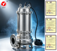 Pompa Limbah Submersible Stainless Steel 380V Anti-Sumbat, Tekanan Tinggi, Daya Hisap Tinggi, Dapat Disesuaikan OEM Pabrik, untuk Drainase Air Limbah HP