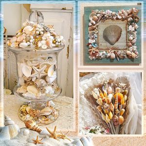 Zeeschelpen Gemengde Oceaanschelpen Set 15 Soorten 1,2'-2,7' Verschillende Maten Natuurlijke Zeeverschelpen ZeeSterren voor Strandthema Decoratie DIY Knutselen - Product Image 5