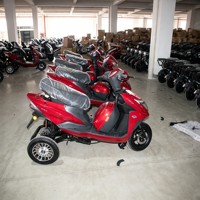 Tricycle électrique à 2 places pour passagers et marchandises avec pédalage assisté, carrosserie ouverte, puissance 500W, tension 60V, tricycle électrique à 3 roues