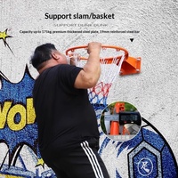 Aro de Baloncesto de Hierro Fundido, Tablero de Pared, Estándar, para Interiores y Exteriores, Portátil, Profesional, para Uso Doméstico, para Adultos y Niños, con Redes