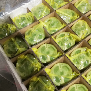 VCI Zipper Film Roll Reclosable Anti Rust Poly <strong>Strip</strong> for Guns &amp; Spare Parts, 30-200 mm Width, OEM Print 2 Colors - Product Image 2