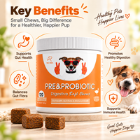 Friandises à mâcher prébiotiques et probiotiques pour chiens, santé digestive, équilibre de la flore intestinale, nutrition immunitaire, saveur poulet, fabrication OEM