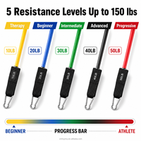 Bandas de resistencia TPE para puerta con asas, correa de anclaje para puerta para gimnasio en casa, entrenamiento de cuerpo completo, logotipo personalizado