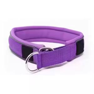 <span class=keywords><strong>Collier</strong></span> pour <span class=keywords><strong>chien</strong></span> en nylon souple réglable <span class=keywords><strong>de</strong></span> haute qualité, utilisé pour l'exercice quotidien et l'entraînement - Product Image 3