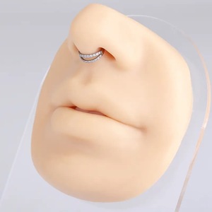Boucles d'oreilles en alliage de titane F136 à double rangée de zircon, anneau de nez, pince de nez, accessoires de piercing, fermeture à pression, bande de nez en zircon, tendance - Product Image 3