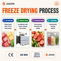 Machine de lyophilisation sous vide de qualité alimentaire en acier inoxydable 304 certifiée CE pour légumes, thé aux fleurs et soupes