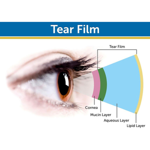 Aceite de pescado omega de alta calidad y cápsulas blandas de EPA y DHA para la protección ocular, antioxidante, antienvejecimiento y salud cardiovascular. - Product Image 4