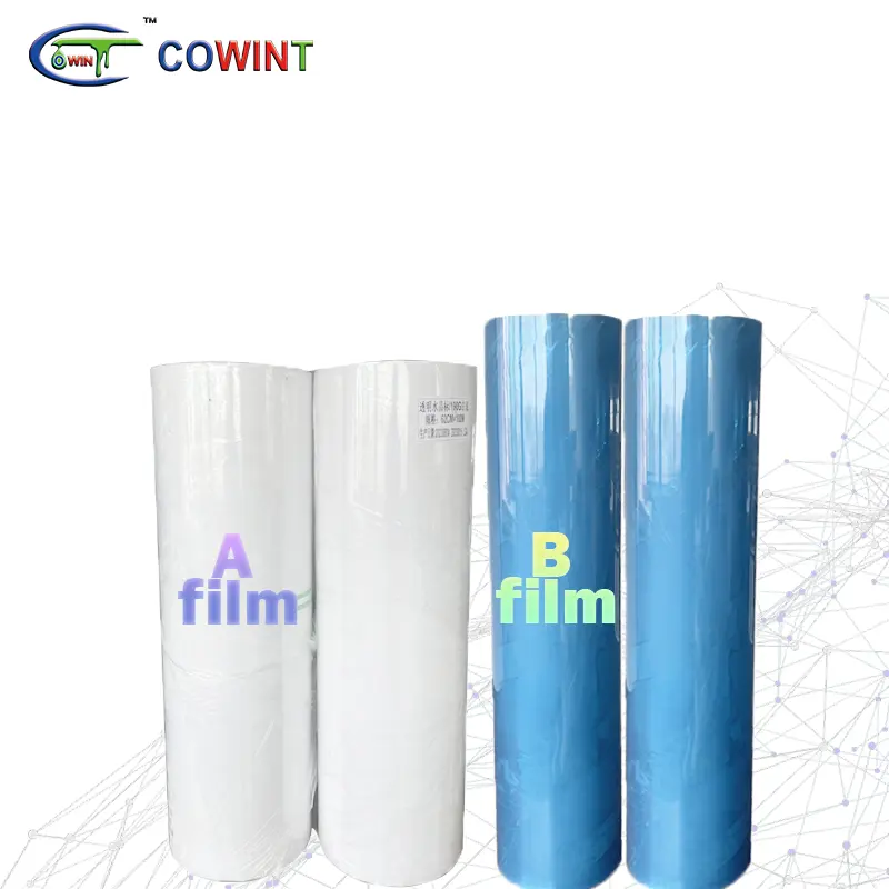 Finestra riflettente Cowint 200 micron pellicola di protezione plastique pellicola anti uv