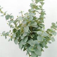 Vente flash : Fleurs artificielles avec tiges de feuilles d'eucalyptus, plante verte, décoration d'intérieur, arrangement floral