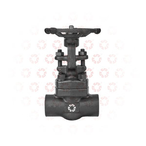 2 인치 3 인치 4 인치 탄소강 800LB C27 A105N 소프트 씰 플랜지 연결 주철 용접 게이트 밸브 - Product Image 3