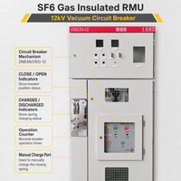 HXGN-12 12kV Appareillage de commande d'automatisation électrique personnalisé, appareillage de commutation RMU isolé au gaz SF6, en métal, pour commerçants