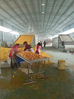 Machine de production de poudre de gingembre séché au four pour ail, patate douce et gingembre