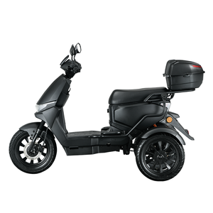 Scooter Eléctrico de Tres Ruedas de Aleación de Aluminio Euro5 EEC Coc, Motor sin Escobillas de 1000W, Batería de Litio, Control Remoto - Product Image 3