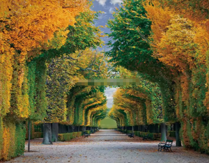 Elegante jardín otoño bosque paisaje 3D 5D 8D pared Mural foto papel tapiz - Product Image 4