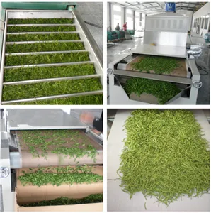 Industrial Microwave Green Black Tea Leaf Herbs Fixation Sterilization Processing Machine