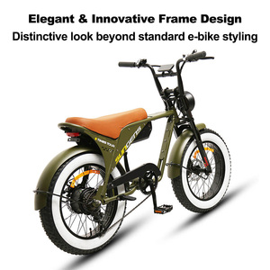 Bicicleta Eléctrica Económica con Llantas Gruesas de 20 Pulgadas, Modelo EU, Motor de 250w, 48v - Product Image 2