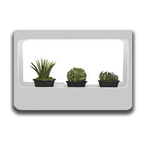 Kit LED de crecimiento para plantas, 14W, luz eficiente, espectro completo, ideal para jardinería interior y cultivo de plantas. - Product Image 2