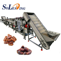 Fruitverwerkingsmachine Vibratielijn voor dadels Vibrator Dadelsreinigingsmachine