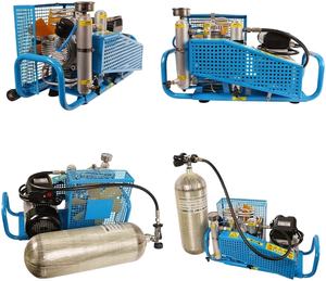 Elektrischer tragbarer Luft kompressor 300 Liter Pcp Luft kompressor - Product Image 4