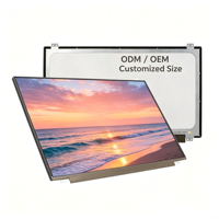 1920*1080/1920*1200 Auflösung 14 Zoll LCD-Modul tft LCD-Bildschirm OEM200-1200cd/m2 EDP30pin Gerade/Rückseite Klappbarer Laptop-spezifisch
