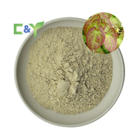 Ekstrak Herba Tegmentosum Alami Grosir, Bubuk Acer Tegmentosum, Ekstrak Acer Tegmentosum, Ekstrak Herbal Epimedium 98%