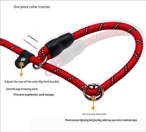 Correa de Nailon para Perros, Cadena Tipo P, Collar de Cuerda, Correa Resistente para Perros de Raza Pequeña, Mediana y Grande, Teddy, Corgi, Border <span class=keywords><strong>Collie</strong></span> - Product Image 5