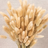 Herbe de Lagurus Ovatus stabilisée, élégante garniture pour vase, arrangement floral de mariage