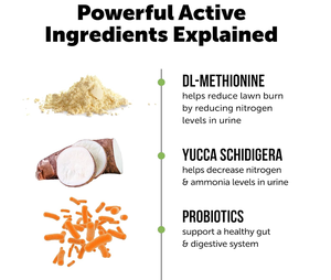 犬用のカスタムグリーン芝生ソフトチューズペットヘルスケアサプリメント草のおしっこ用の尿中和剤が庭の火傷スポットを維持するのに役立ちます - Product Image 2