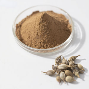 โรงงานผลิตสารสกัดจากธรรมชาติของ <span class=keywords><strong>Cnidium</strong></span> <span class=keywords><strong>Monnieri</strong></span> แบบผง ออร์แกนิก สำหรับผลิตภัณฑ์เพื่อสุขภาพ - Product Image 3