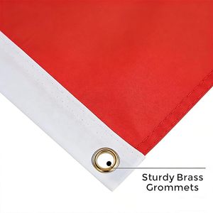 <span class=keywords><strong>Bandera</strong></span> de <span class=keywords><strong>Groenlandia</strong></span> para exteriores de 3x5 pies, doble cara, colores vibrantes, resistente a la decoloración, con ojales de latón - Product Image 4