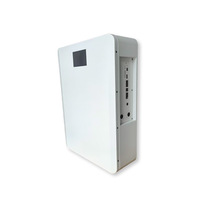 Boîtier de batterie au lithium 48V100Ah, support mural pour batterie, rack de stockage d'énergie solaire, boîtier de batterie prismatique, écran LCD, 5 kWh