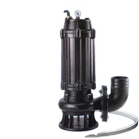 Station de pompage d'eau submersible Readycome série WQ en acier inoxydable et fonte pour les applications de traitement des eaux usées